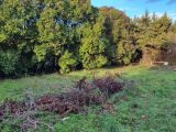  1749630-6929annonce220231218wHhTQ.jpeg Maisons Open