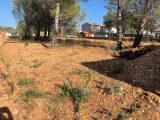  1749302-10678annonce220231218sFhtP.jpeg Maisons Open