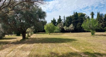 Sanary-sur-Mer Terrain à bâtir - 1752861-10745annonce220231226weog2.jpeg Maisons Open