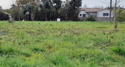 Muret Terrain à bâtir - 1749004-6043annonce1202312159fQwc.jpeg Maisons Open