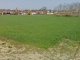   Maisons Open