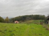 1737431-2684annonce220231128Sln28.jpeg Maisons Open