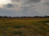  1743961-10419annonce120231208g2VMe.jpeg Maisons Open
