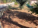  1755295-10678annonce220240103bJ3g8.jpeg Maisons Open