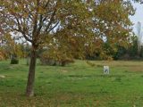  1770581-9993annonce120240120O5Uup.jpeg Maisons Open