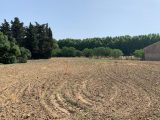  1772499-6929annonce2202401239n5Jw.jpeg Maisons Open