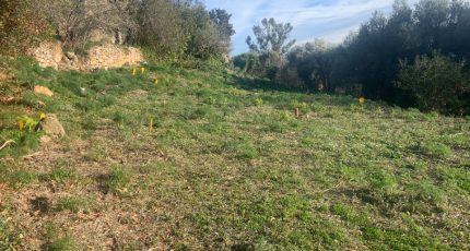 Toulon Terrain à bâtir - 1765809-10745annonce120240115DwNKs.jpeg Maisons Open