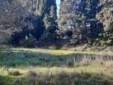  1781365-10682annonce120240202T0c0m.jpeg Maisons Open