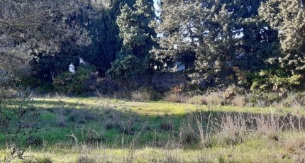 Martigues Terrain à bâtir - 1781365-10682annonce120240202T0c0m.jpeg Maisons Open