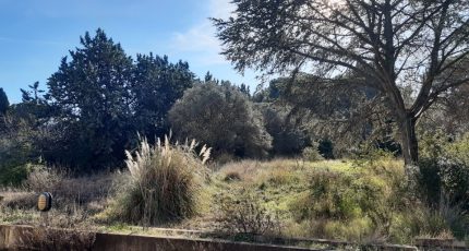 Martigues Terrain à bâtir - 1781365-10682annonce2202402028zD97.jpeg Maisons Open