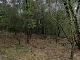  1782885-10682annonce120240205RXSBT.jpeg Maisons Open
