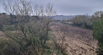 Bédarrides Terrain à bâtir - 1794610-617annonce320231023Cf3c1.jpeg Maisons Open