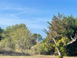  1794820-10678annonce2202402214IRIT.jpeg Maisons Open