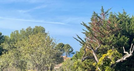 Sanary-sur-Mer Terrain à bâtir - 1794820-10678annonce2202402214IRIT.jpeg Maisons Open