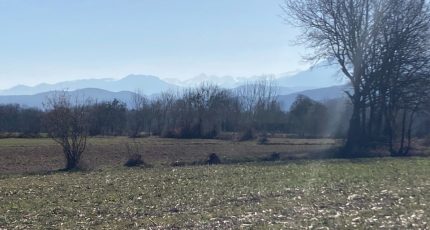 Les Tourreilles Terrain à bâtir - 1769623-4594annonce120240119aHOVx.jpeg Maisons Open