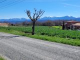  1801483-4594annonce120240229HUuVP.jpeg Maisons Open