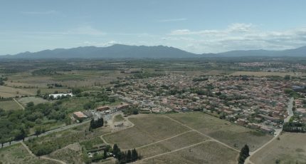 Ponteilla Terrain à bâtir - 1776794-5472annonce120240129s5pqP.jpeg Maisons Open