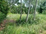  1799849-4667annonce120240227QEsak.jpeg Maisons Open