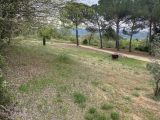  1737041-7060annonce320230609HqrpX.jpeg Maisons Open