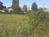  1754272-3427annonce120230803fOnp1.jpeg Maisons Open