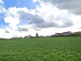  1766661-9897annonce120240116MGUlr.jpeg Maisons Open