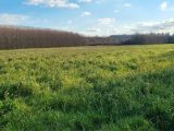  1776786-6150annonce120240129sd2hc.jpeg Maisons Open