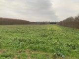 1776786-6150annonce220240129tIbWe.jpeg Maisons Open