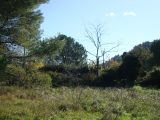  1743648-649annonce220231208he0Fb.jpeg Maisons Open