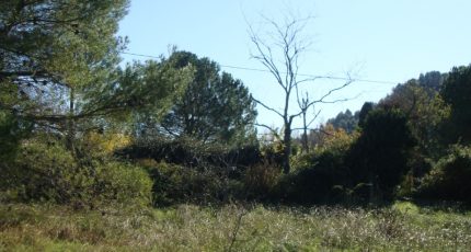 Hyères Terrain à bâtir - 1743648-649annonce220231208he0Fb.jpeg Maisons Open