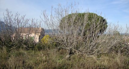 La Crau Terrain à bâtir - 1777553-649annonce420240130taJom.jpeg Maisons Open