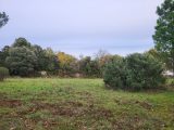  1753138-10746annonce220231227a1dnt.jpeg Maisons Open