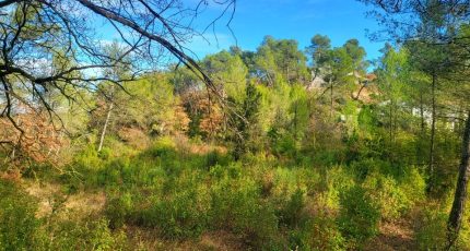 Brignoles Terrain à bâtir - 1775671-10746annonce120240128CEcDe.jpeg Maisons Open