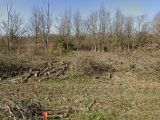 1736795-6172annonce2202311274ELzf.jpeg Maisons Open