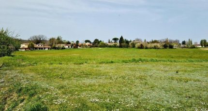 Cépet Terrain à bâtir - 1753129-5604annonce320231227gmcNO.jpeg Maisons Open