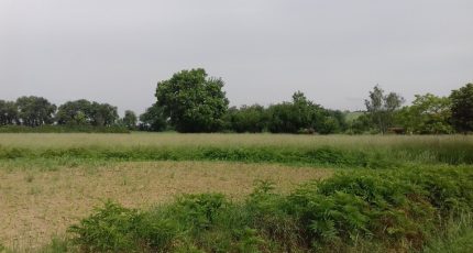 Verfeil Terrain à bâtir - 1776622-6172annonce120240129TKATI.jpeg Maisons Open