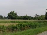  1776622-6172annonce320240129sKW00.jpeg Maisons Open