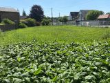  1728675-6159annonce120231116A8api.jpeg Maisons Open