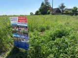  1756445-6159annonce120240104GEbAS.jpeg Maisons Open