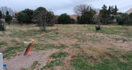 Viols-le-Fort Terrain à bâtir - 1795595-3243annonce12024022745AbU.jpeg Maisons Open