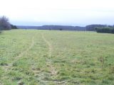  1775456-3326annonce120240127MS81h.jpeg Maisons Open