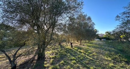 Roquebrune-sur-Argens Terrain à bâtir - 1801704-3701annonce120240229EutRR.jpeg Maisons Open
