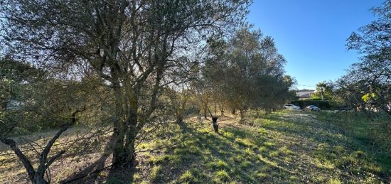 Terrain à bâtir à Roquebrune-sur-Argens, Provence-Alpes-Côte d'Azur