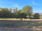  1737058-9270annonce220231128xAUux.jpeg Maisons Open