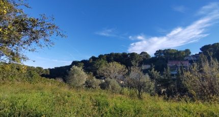 Antibes Terrain à bâtir - 1739939-9270annonce420231201rWQ38.jpeg Maisons Open