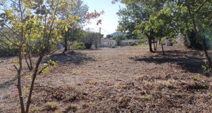 Vidauban Terrain à bâtir - 1800793-9911annonce220240228cFgRp.jpeg Maisons Open