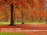  1752725-10545annonce120231222shp2Z.jpeg Maisons Open
