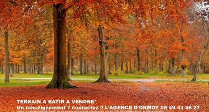 Lorrez-le-Bocage-Préaux Terrain à bâtir - 1752725-10545annonce120231222shp2Z.jpeg Maisons Open