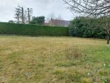  1753931-10545annonce120231228D19pk.jpeg Maisons Open