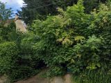  1765794-10545annonce120240115WLJZL.jpeg Maisons Open