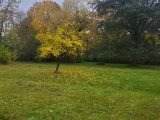  1778124-10545annonce220240130p1lKq.jpeg Maisons Open